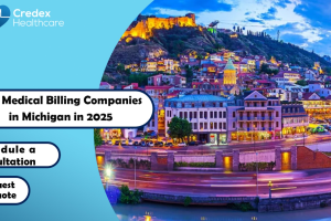 Best medical billing companies in Michigan in 2025